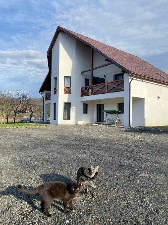 Pensiunea Rnb Maramures Surdesti  ภายนอก รูปภาพ